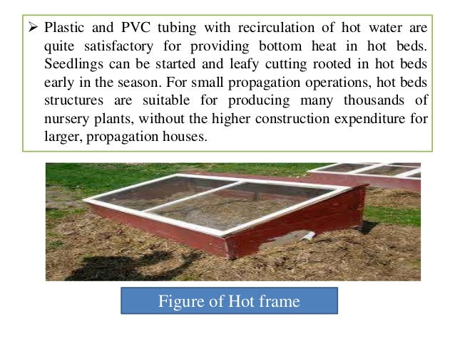 hot bed nursery