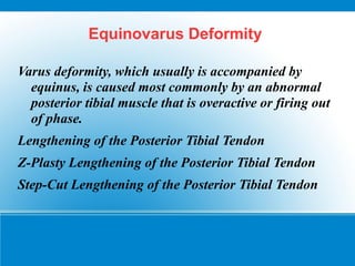 Equinovarus Deformity
Varus deformity, which usually is accompanied by
equinus, is caused most commonly by an abnormal
posterior tibial muscle that is overactive or firing out
of phase.
Lengthening of the Posterior Tibial Tendon
Z-Plasty Lengthening of the Posterior Tibial Tendon
Step-Cut Lengthening of the Posterior Tibial Tendon
 
