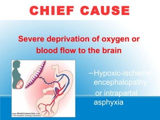 Severe deprivation of oxygen or
blood flow to the brain
–Hypoxic-ischemic
encephalopathy
or intrapartal
asphyxia
CHIEF CAUSE
 