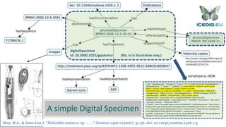 digitalSpecimen
id: 20.5000.1025/gqzdomzr (Nb. id is illustrative only.)
Bray, R.A., & Jean-Lou J. "Holorchis castex n. sp. … …" Zootaxa 1426.1 (2007): 51-56. doi: 10.11646/zootaxa.1426.1.3
A simple Digital Specimen
{"type":"DigitalSpecimen","attributes":{"content":{"id":"20.5000.1025/6e2b07784b8f608d9e37","
creationdatetime":"","creator":"","midslevel":2,"scientificName":"Holorchis castex Bray &
Justine","country":"New Caledonia","locality":"Rocher a la voile",
"decimalLat/Long":[-22.3,166.42],"recordedBy":"J L. Justine","collectionDate":"2006-06-01“,
"catalogNumber":"2006.12.6.40-41","otherCatalogNumbers":"NHMUK:ecatalogue:7072219",
"institutionCode":"NHMUK","collectionCode":"ZOO, Parasitic worms",
"stableIdentifier":"https://data.nhm.ac.uk/object/e90b81bc-1642-47ca-b587-
6aa8885cd6a0/1558569600000","physicalSpecimenId":"013258549","Annotations":"Type status
= paratype. Holotype = MNHN JNC 1848 –D
1","gbifId":"https://www.gbif.org/occurrence/1826086349","catOfLifeReference":"http://www.c
atalogueoflife.org/col/details/species/id/828cbc4eecaa2402b09cd9223754171e","literatureRefer
ence":"https://doi.org/10.5281/zenodo.175744","treatmentbank":"http://tb.plazi.org/GgServer/
html/03BA87825543FFBFD895FD27FAE1DDAD ","enaBiosample":"None
available","enaSequence":"https://www.ebi.ac.uk/ena/data/view/FJ788436","LiteratureReferenc
eRelated":"https://doi.org/10.2478/s11686-009-0045-z"}},"elements":[]}
serialized as JSON
http://www.catalogueoflife.org/col/
details/species/id/828cbc4eecaa24
02b09cd9223754171e
 