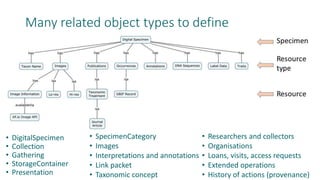 Many related object types to define
• DigitalSpecimen
• Collection
• Gathering
• StorageContainer
• Presentation
• SpecimenCategory
• Images
• Interpretations and annotations
• Link packet
• Taxonomic concept
• Researchers and collectors
• Organisations
• Loans, visits, access requests
• Extended operations
• History of actions (provenance)
 
