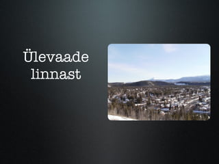 Ülevaade linnast 