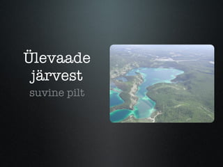 Ülevaade järvest suvine pilt 