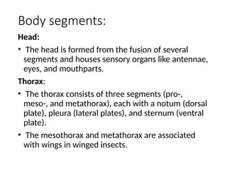 Notum Insect Hard parts of insects including exoskeleton.pptx