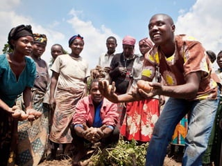 Hard Talk Farmer Field Schools - Raf Somers (CTB Rwanda)