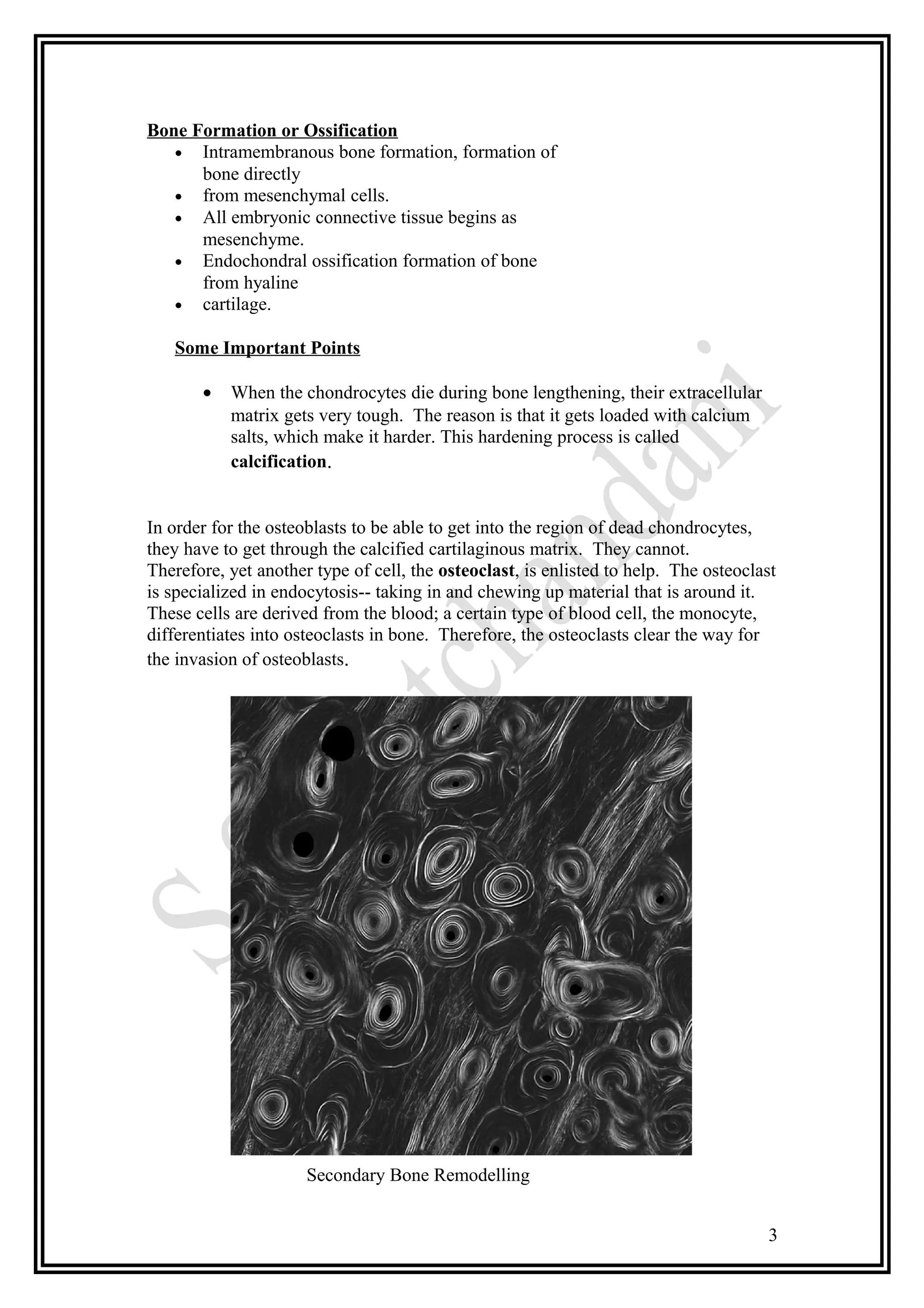 Tissue Formatipo Hard tissue formation | DOC