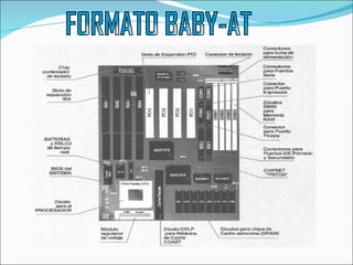 FORMATO BABY-AT 