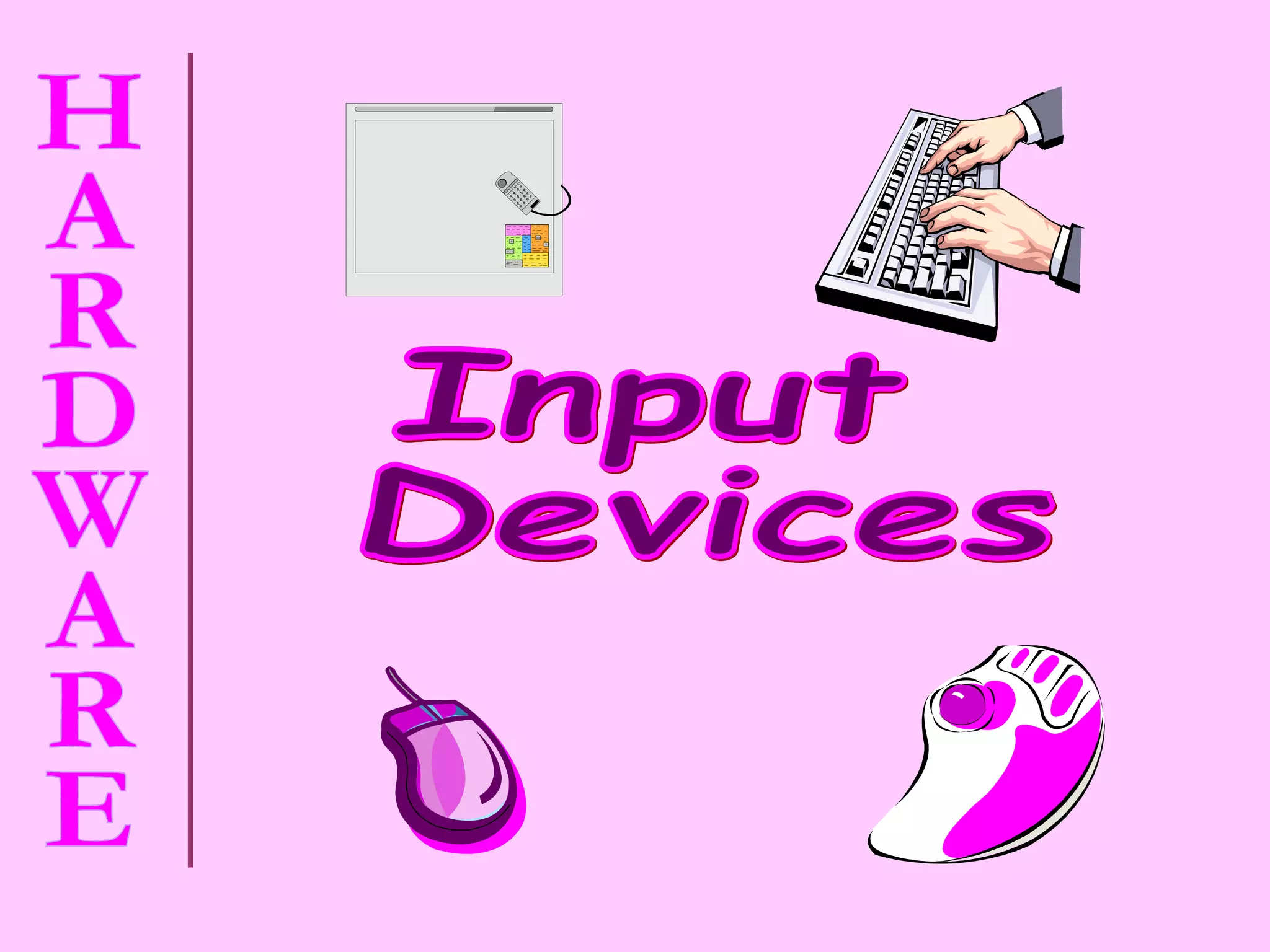 Input  Devices 