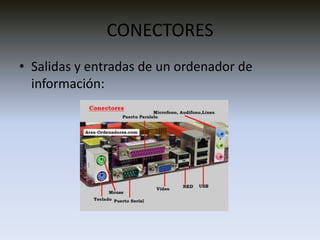 CONECTORESSalidas y entradas de un ordenador de información: