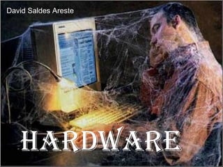 Hardware David Saldes  Areste 