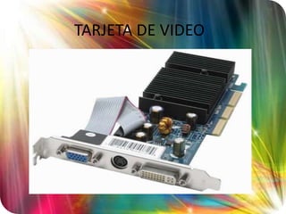 TARJETA DE VIDEO