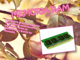 MEMORIA RAMLa memoria de acceso aleatorioes la memoria desde donde el procesador recibe las instrucciones y guarda los resultados.