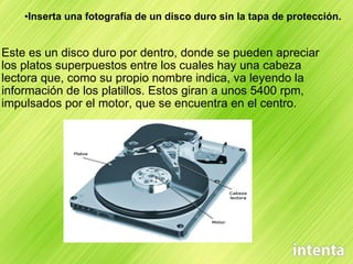 Inserta una fotografía de un disco duro sin la tapa de protección. Este es un disco duro por dentro, donde se pueden apreciar los platos superpuestos entre los cuales hay una cabeza lectora que, como su propio nombre indica, va leyendo la información de los platillos. Estos giran a unos 5400 rpm, impulsados por el motor, que se encuentra en el centro. 