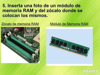 5. Inserta una foto de un módulo de memoria RAM y del zócalo donde se colocan los mismos. Zócalo de memoria RAM              Módulo de Memoria RAM 