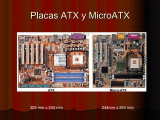Placas ATX y MicroATX




305 mm x 244 mm   244mm x 244 mm
 