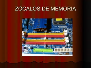 ZÓCALOS DE MEMORIA
 