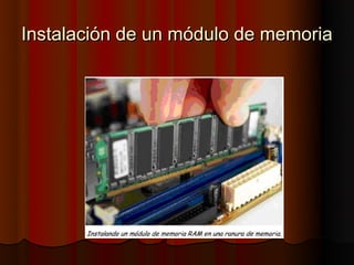 Instalación de un módulo de memoria
 