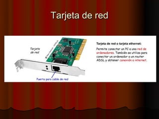 Tarjeta de red
 