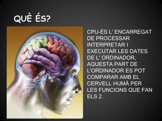 QUÈ ÉS?
hjyyyyy7fo76igi   CPU-ÉS L' ENCARREGAT
                  DE PROCESSAR
                  INTERPRETAR I
                  EXECUTAR LES DATES
                  DE L' ORDINADOR,
                  AQUESTA PART DE
                  L'ORDINADOR ES POT
                  COMPARAR AMB EL
                  CERVELL HUMÀ PER
                  LES FUNCIONS QUE FAN
                  ELS 2.
 