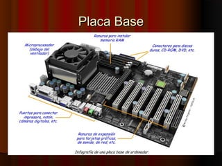 Placa BasePlaca Base
 