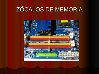 ZÓCALOS DE MEMORIAZÓCALOS DE MEMORIA
 