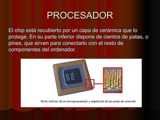 PROCESADORPROCESADOR
El chip está recubierto por un capa de cerámica que loEl chip está recubierto por un capa de cerámica que lo
protege. En su parte inferior dispone de cientos de patas, oprotege. En su parte inferior dispone de cientos de patas, o
pines, que sirven para conectarlo con el resto depines, que sirven para conectarlo con el resto de
componentes del ordenador.componentes del ordenador.
 