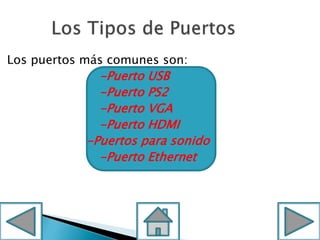 Los puertos más comunes son:
-Puerto USB
-Puerto PS2
-Puerto VGA
-Puerto HDMI
-Puertos para sonido
-Puerto Ethernet
 