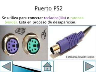 Se utiliza para conectar teclados(lila) o ratones
(verde). Esta en proceso de desaparición.
 