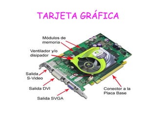 TARJETA GRÁFICA
 