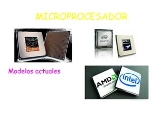 MICROPROCESADOR
Modelos actuales
 