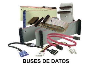 BUSES DE DATOS