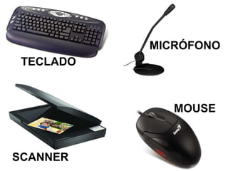 TECLADO
MICRÓFONO
MOUSE
SCANNER