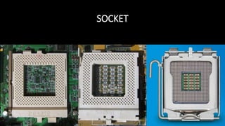SOCKET
 