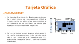 Tarjeta Gráfica
¿PARA QUÉ SIRVE?
● Se encarga de procesar los datos provenientes de
la unidad central de procesamiento (CPU) y
transformarlos en información comprensible y
representable en el dispositivo de salida (por
ejemplo: monitor, televisor o proyector).
● Lo normal es que tengan una sola salida, y por lo
tanto sólo puedas usar una única pantalla, cada
vez es más común ver adaptadores de este tipo
capaces de conectarse hasta a cuatro de manera
simultánea.
 