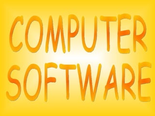 COMPUTER  SOFTWARE 