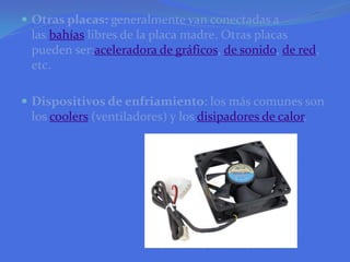 Otras placas: generalmente van conectadas a las bahías libres de la placa madre. Otras placas pueden ser:aceleradora de gráficos, de sonido, de red, etc. Dispositivos de enfriamiento: los más comunes son los coolers (ventiladores) y los disipadores de calor.