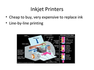 Inkjet Printers
• Cheap to buy, very expensive to replace ink
• Line-by-line printing
 
