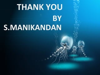 THANK YOU
          BY
S.MANIKANDAN
 