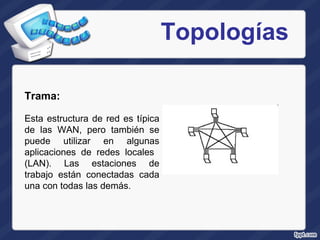 Topologías Trama:  Esta estructura de red es típica de las WAN, pero también se puede utilizar en algunas aplicaciones de redes locales  (LAN). Las estaciones de trabajo están conectadas cada una con todas las demás. 