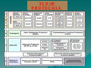 TCP/IP PROTOCOLS   