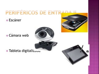  Escáner
 Cámara web
 Tableta digitalizada
 