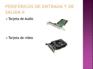  Tarjeta de Audio
 Tarjeta de video
 