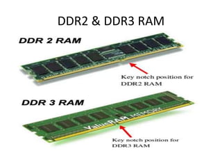 DDR2 & DDR3 RAM
 