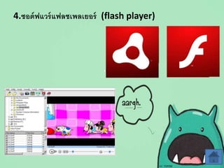 4.ซอต์ฟแวร์แฟลชเพลเยอร์ (flash player)
 
