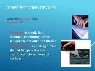 Pointing Computer Hardware and software of computer | PPTX