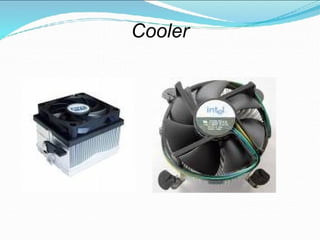 Cooler
 