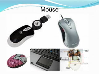 Mouse
 