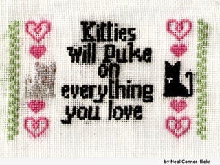    Picture “Reverse Engineering”




                                    by Neal Connor- flickr
 