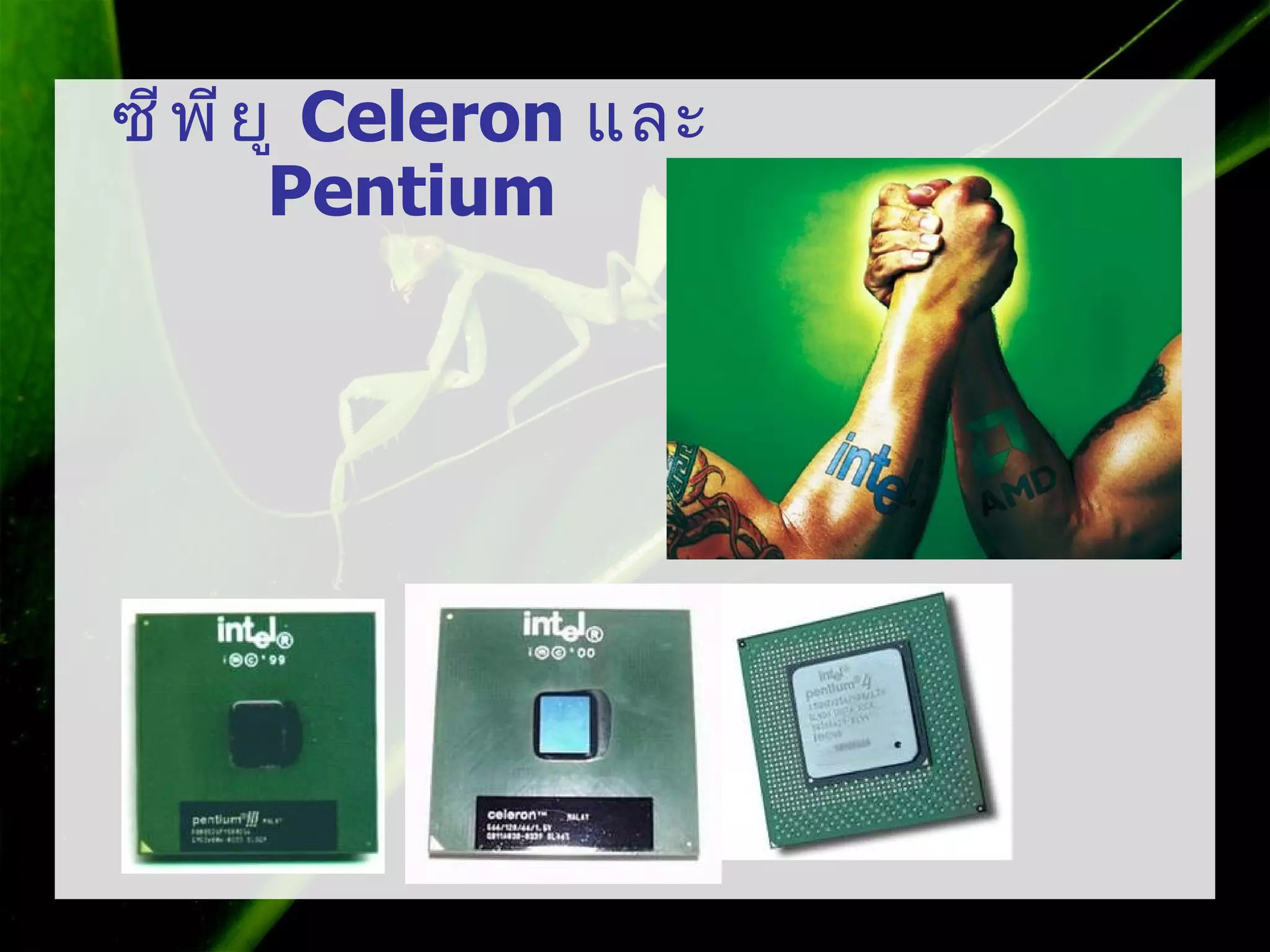 ซี พ ี ย ู Celeron และ
        Pentium
 