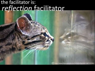 the facilitator is:<br />http://www.flickr.com/photos/tnjn/3905463885/<br />success promoter<br />